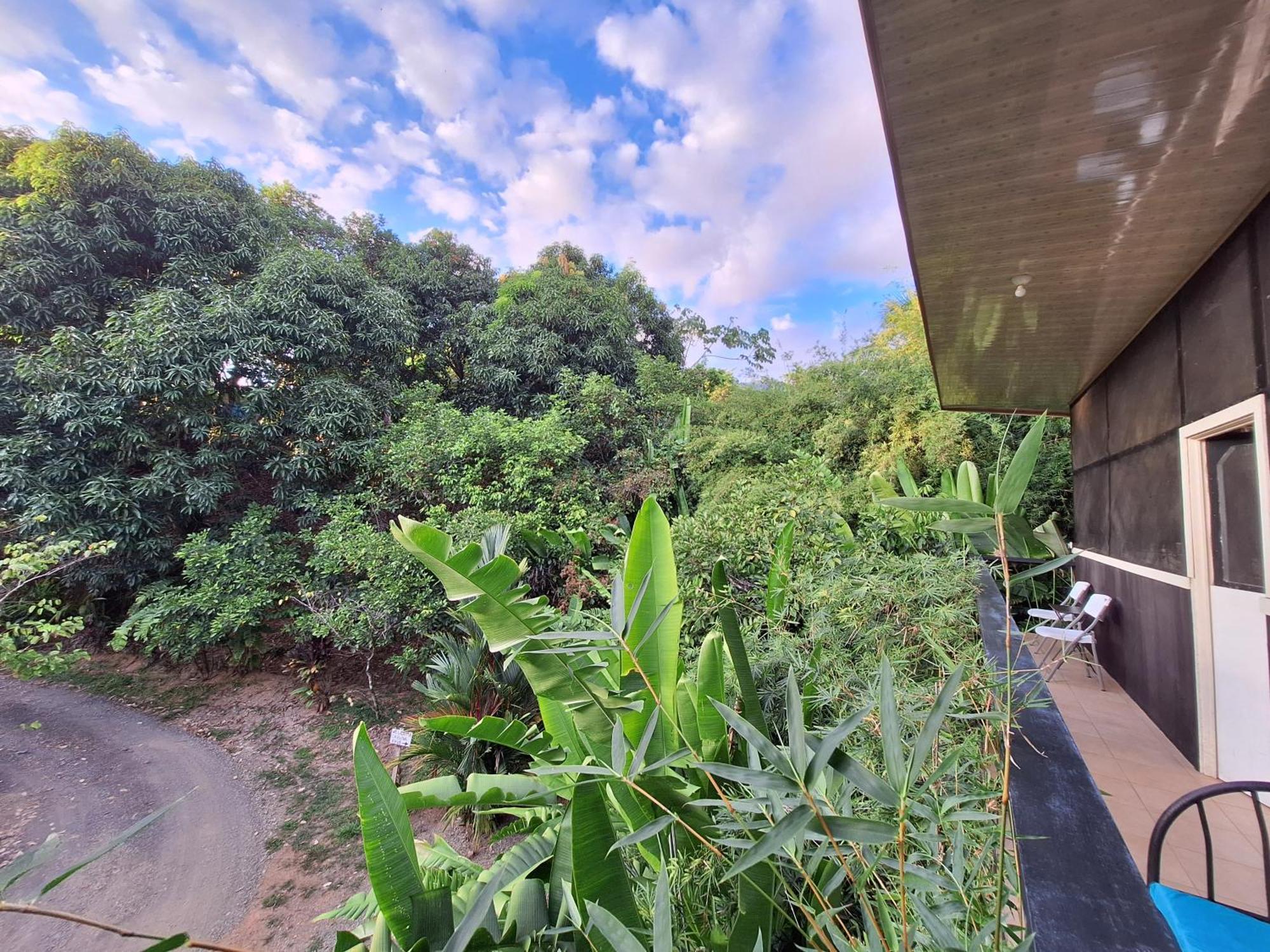 Cabinas Fave Uvita Exterior photo