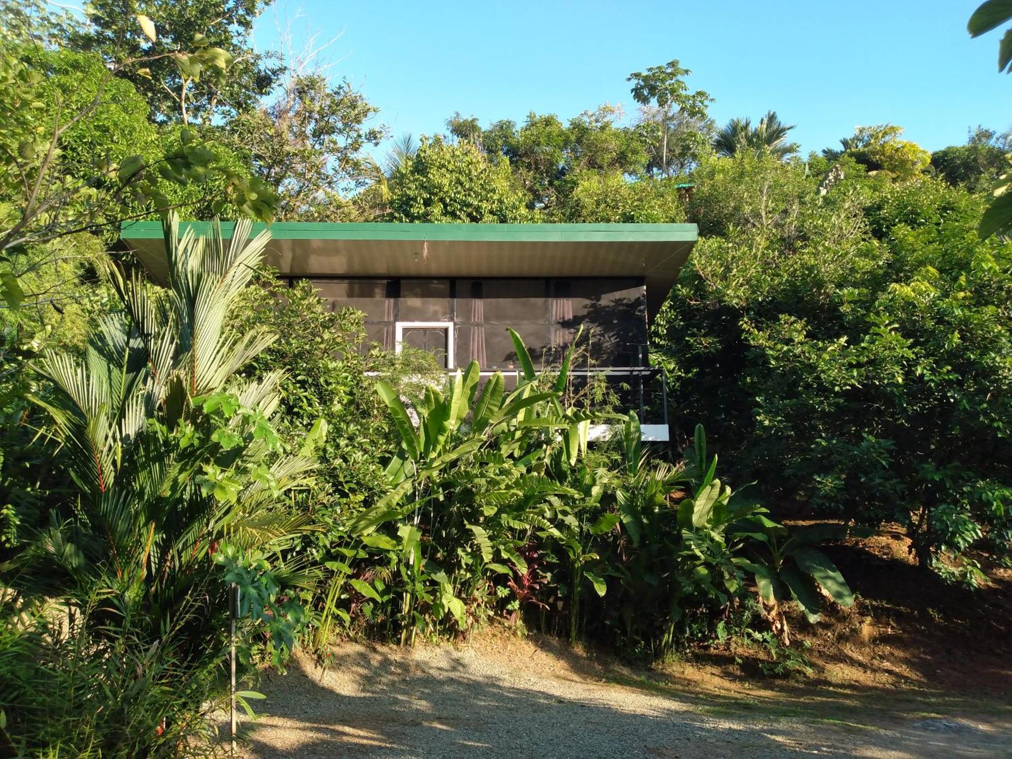 Cabinas Fave Uvita Exterior photo