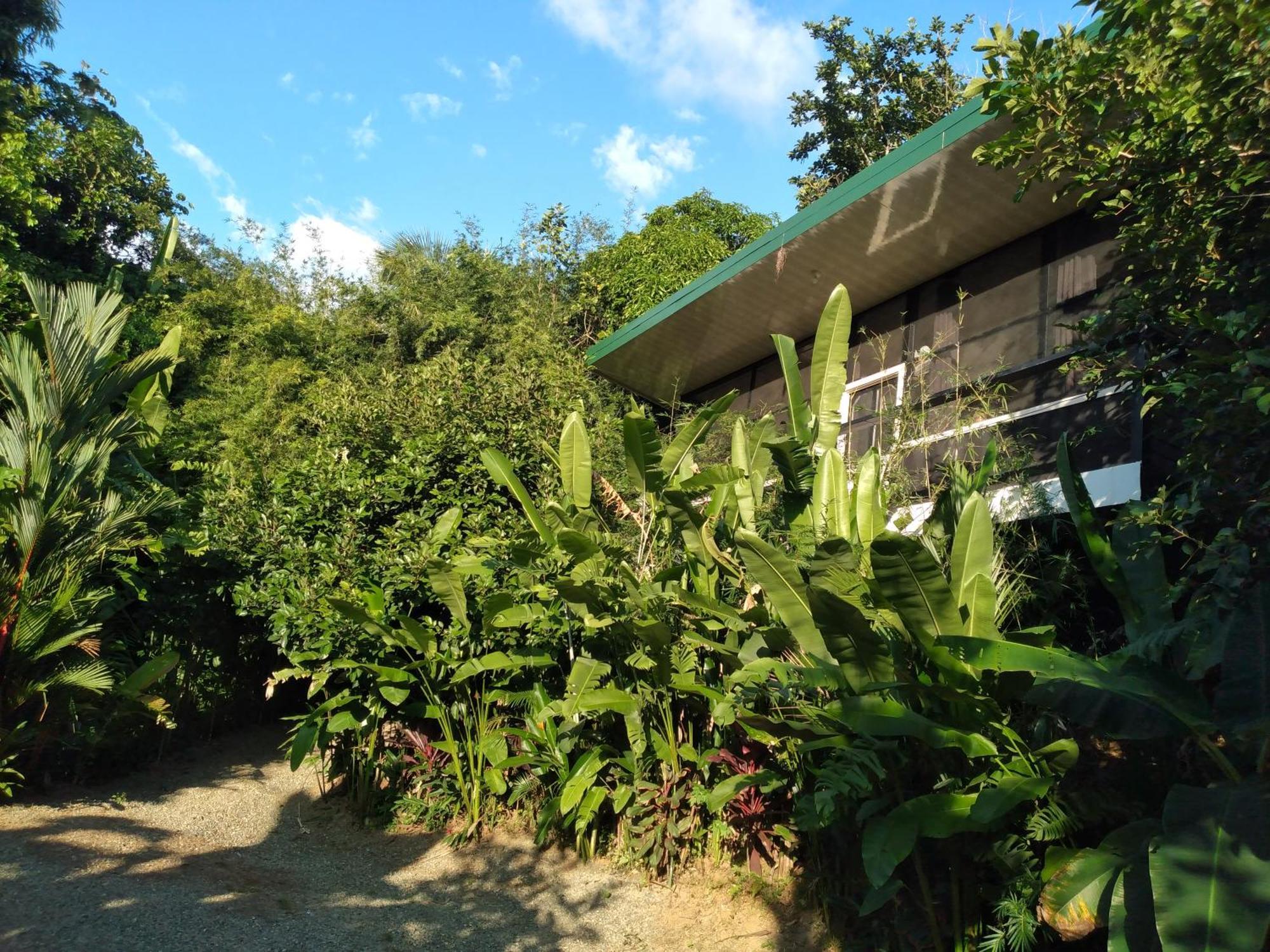 Cabinas Fave Uvita Exterior photo