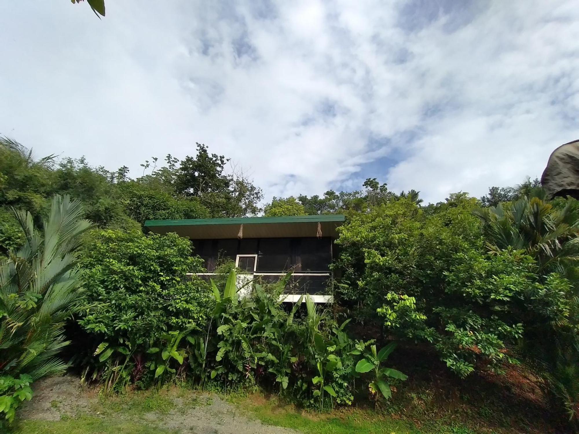 Cabinas Fave Uvita Exterior photo