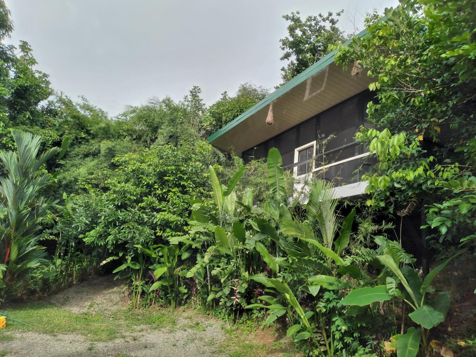 Cabinas Fave Uvita Exterior photo