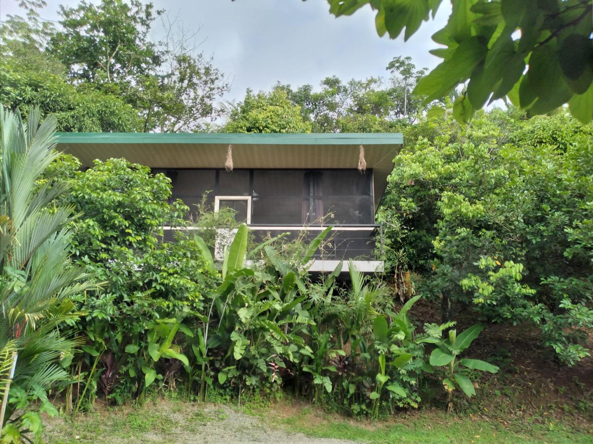 Cabinas Fave Uvita Exterior photo