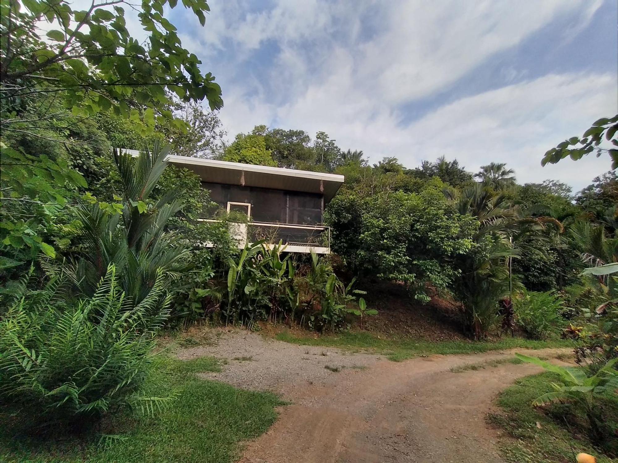 Cabinas Fave Uvita Room photo