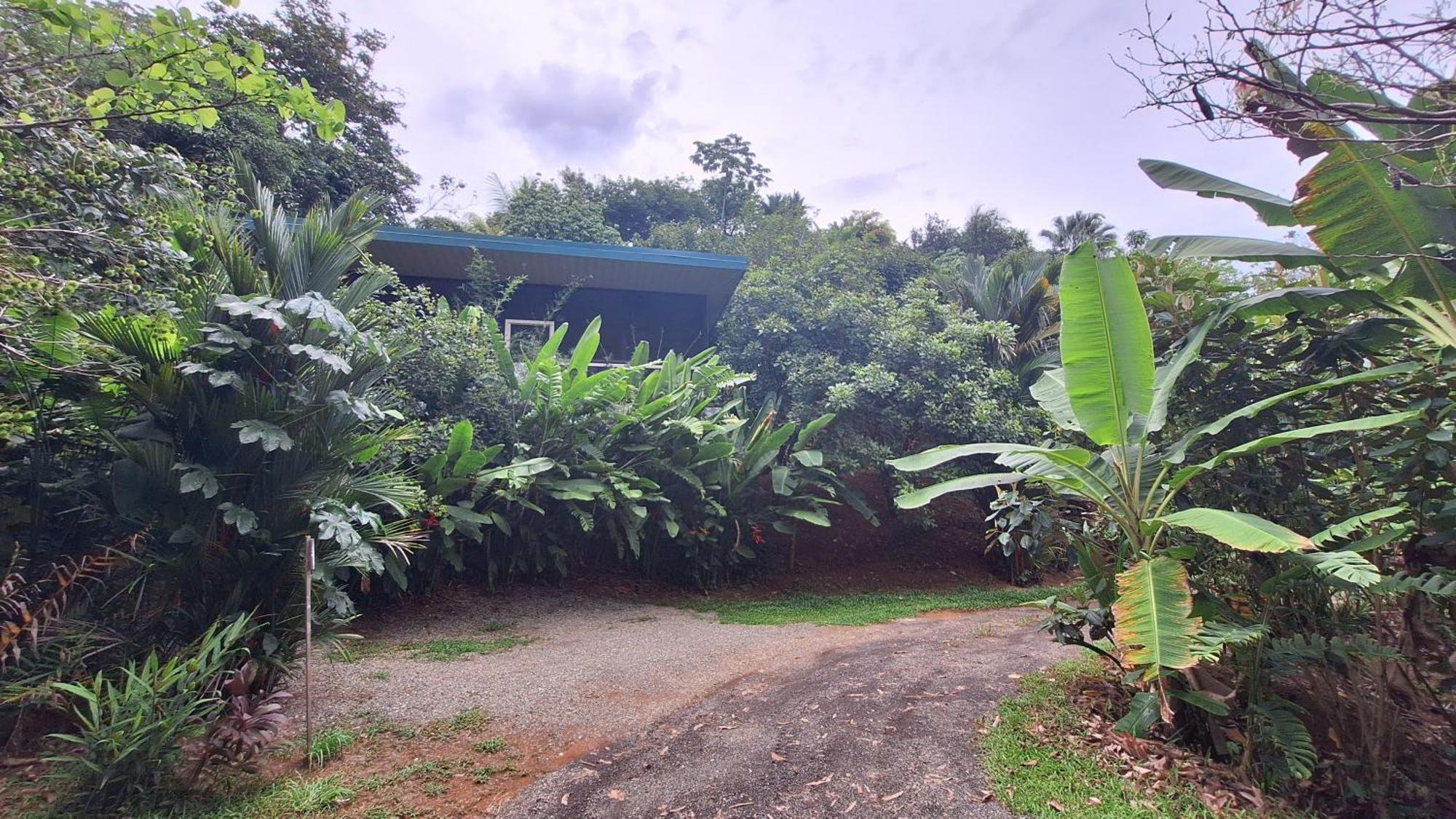 Cabinas Fave Uvita Exterior photo